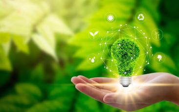 Cover image of Taking care of our planet: sustainability and the ERC 